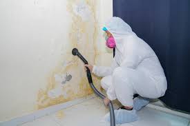 Best Industrial Mold Remediation  in Samsula Spruce Creek, FL